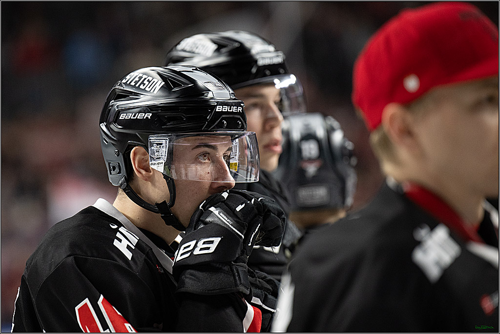 PENNY DEL; Koelner Haie-Duesseldorfer EG ; Koeln, 16.02.2025